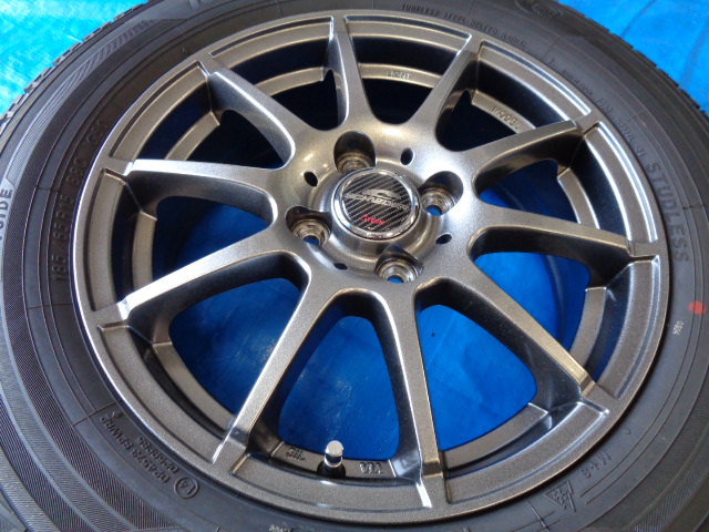 シュナイダースタッグ